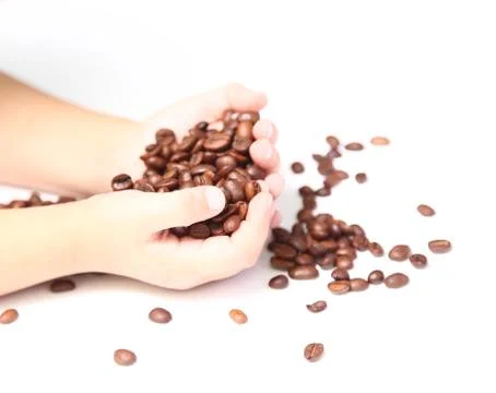 Coffee beans Stock Photos