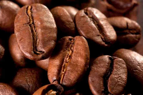 Coffee beans Stock Photos