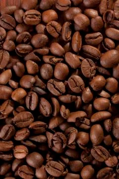 Coffee beans Stock Photos