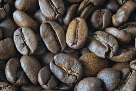 Coffee beans 스톡 사진