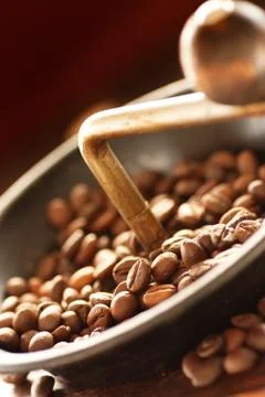 Coffee beans Stock Photos