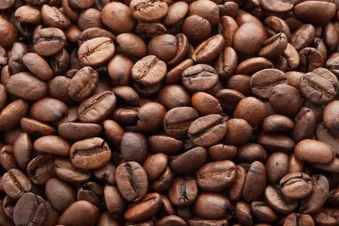 Coffee beans Stock Photos