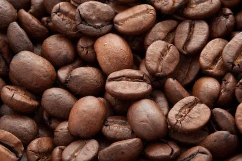 Coffee beans Stock Photos