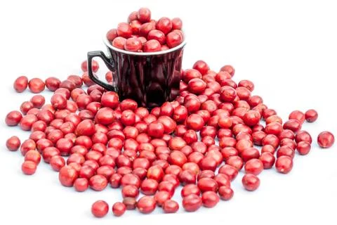 Coffee beans Stock Photos