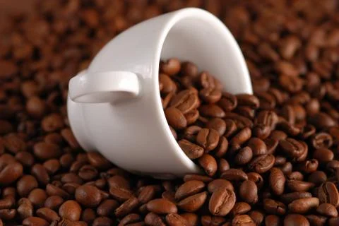 Coffee beans Stock Photos