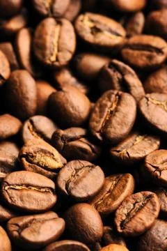 Coffee beans Stock Photos
