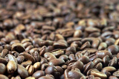 Coffee beans Stock Photos