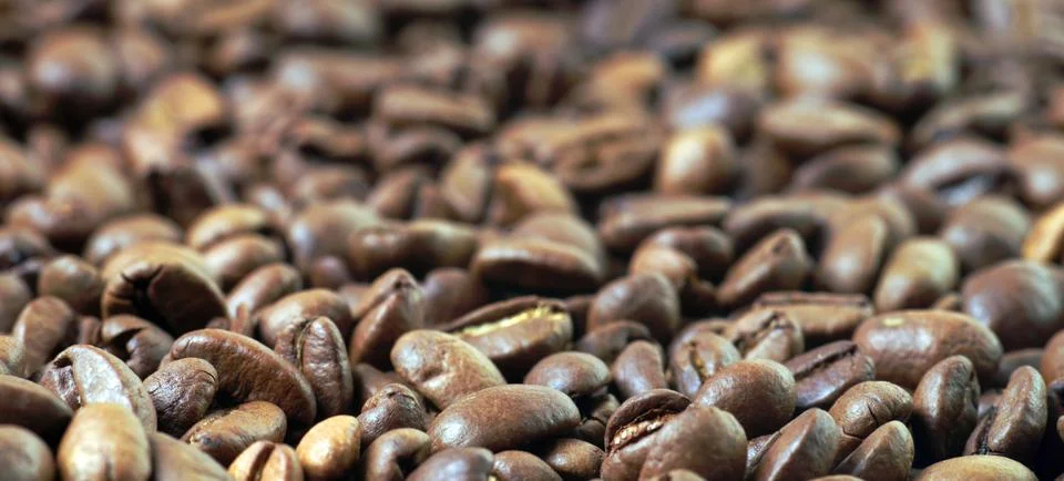 Coffee beans Stock Photos