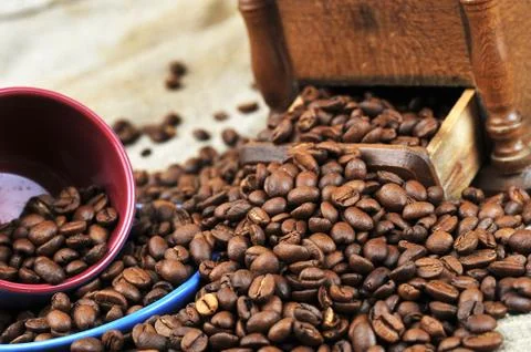 Coffee beans Stock Photos