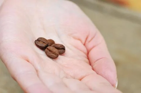 Coffee beans Stock Photos