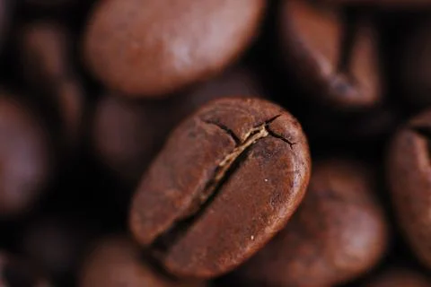 Coffee beans Stock Photos