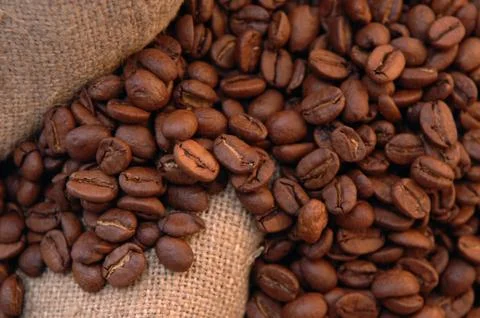 Coffee beans Stock Photos