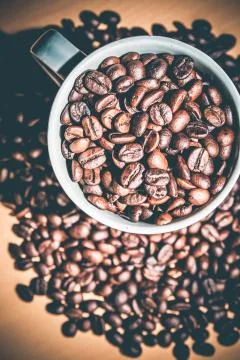 Coffee beans Stock Photos
