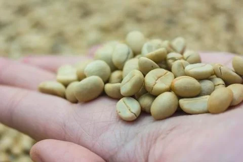 Coffee beans Stock Photos