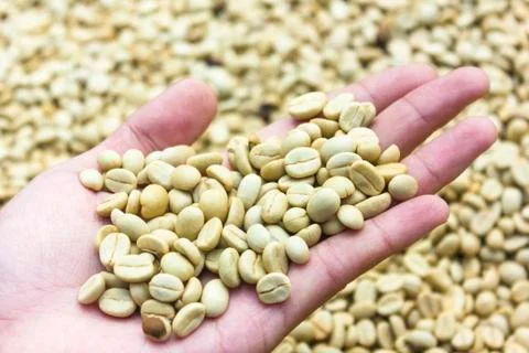 Coffee beans Stock-Fotos