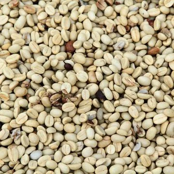 Coffee beans Foto stock