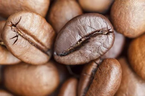 Coffee beans Stock Photos