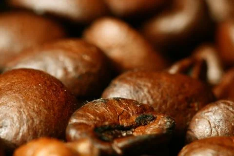 Coffee beans Stock Photos
