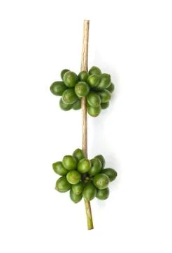 Coffee beans. Stock Photos