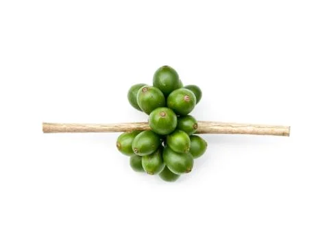 Coffee beans. Stock Photos