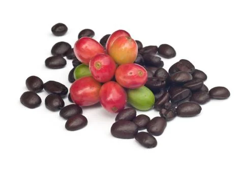 Coffee beans . Stock Photos
