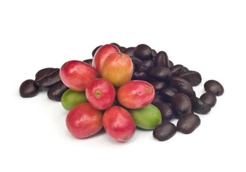 Coffee beans . Stock Photos