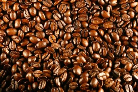 Coffee beans Stock Photos
