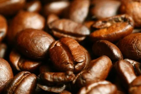 Coffee beans 写真素材