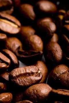 Coffee beans Stock Photos