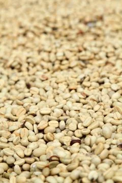 Coffee beans Stock Photos