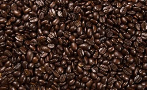 Coffee Beans Fotos de archivo