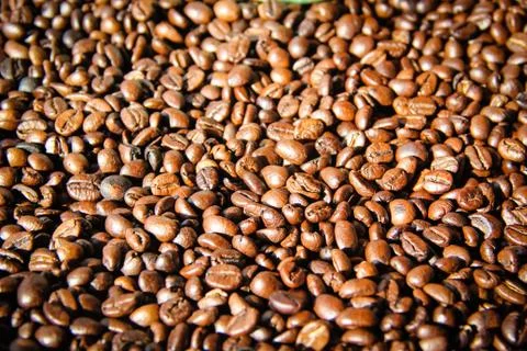 Coffee beans Stock Photos