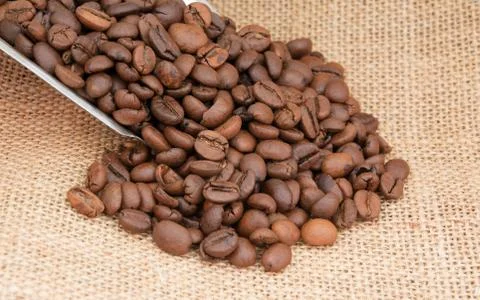 Coffee beans Stock Photos