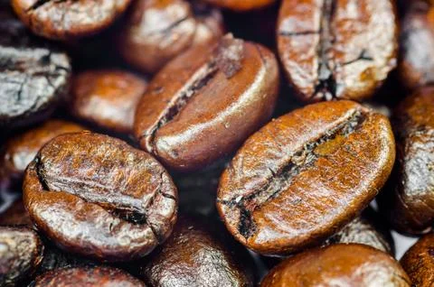 Coffee beans Stock Photos