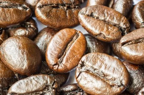 Coffee beans Stock Photos