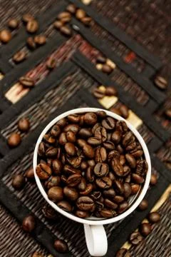 Coffee beans 写真素材