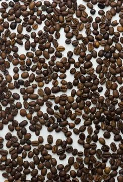 Coffee beans Stock Photos
