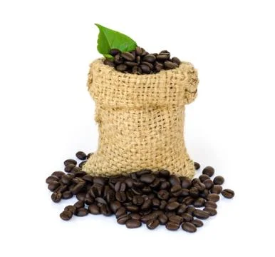 Coffee beans. Stock Photos