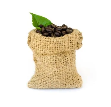 Coffee beans. Stock Photos