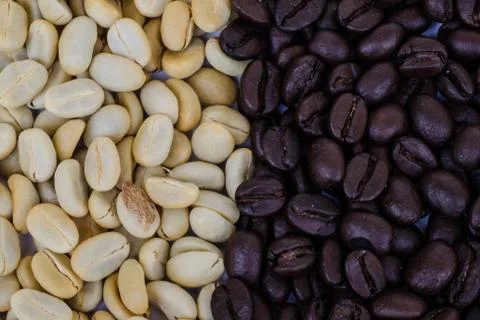 Coffee beans . 写真素材