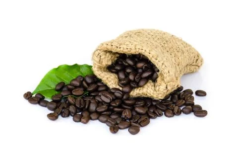 Coffee beans. Stock Photos