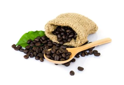 Coffee beans. Stock Photos