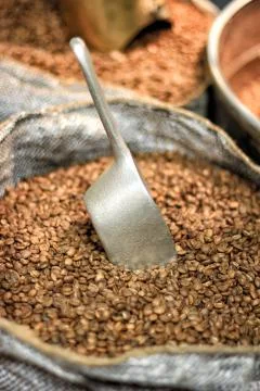 Coffee beans Stock Photos