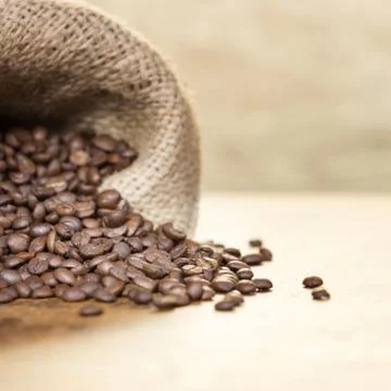 Coffee beans. Stock Photos