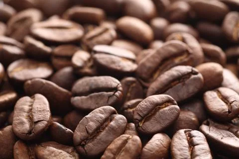 Coffee Beans Stock Photos