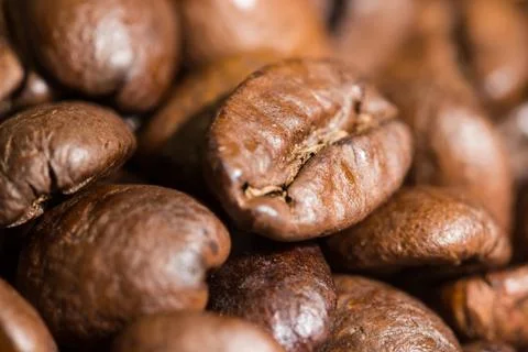 Coffee beans Stock Photos