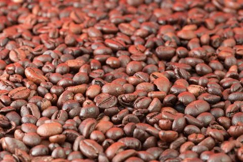 Coffee beans Photos