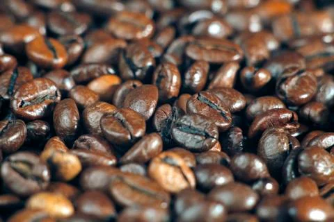 Coffee beans Stock Photos