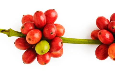 Coffee beans Stock Photos