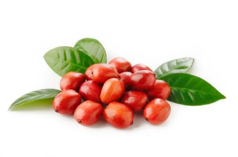 Coffee beans Stock Photos